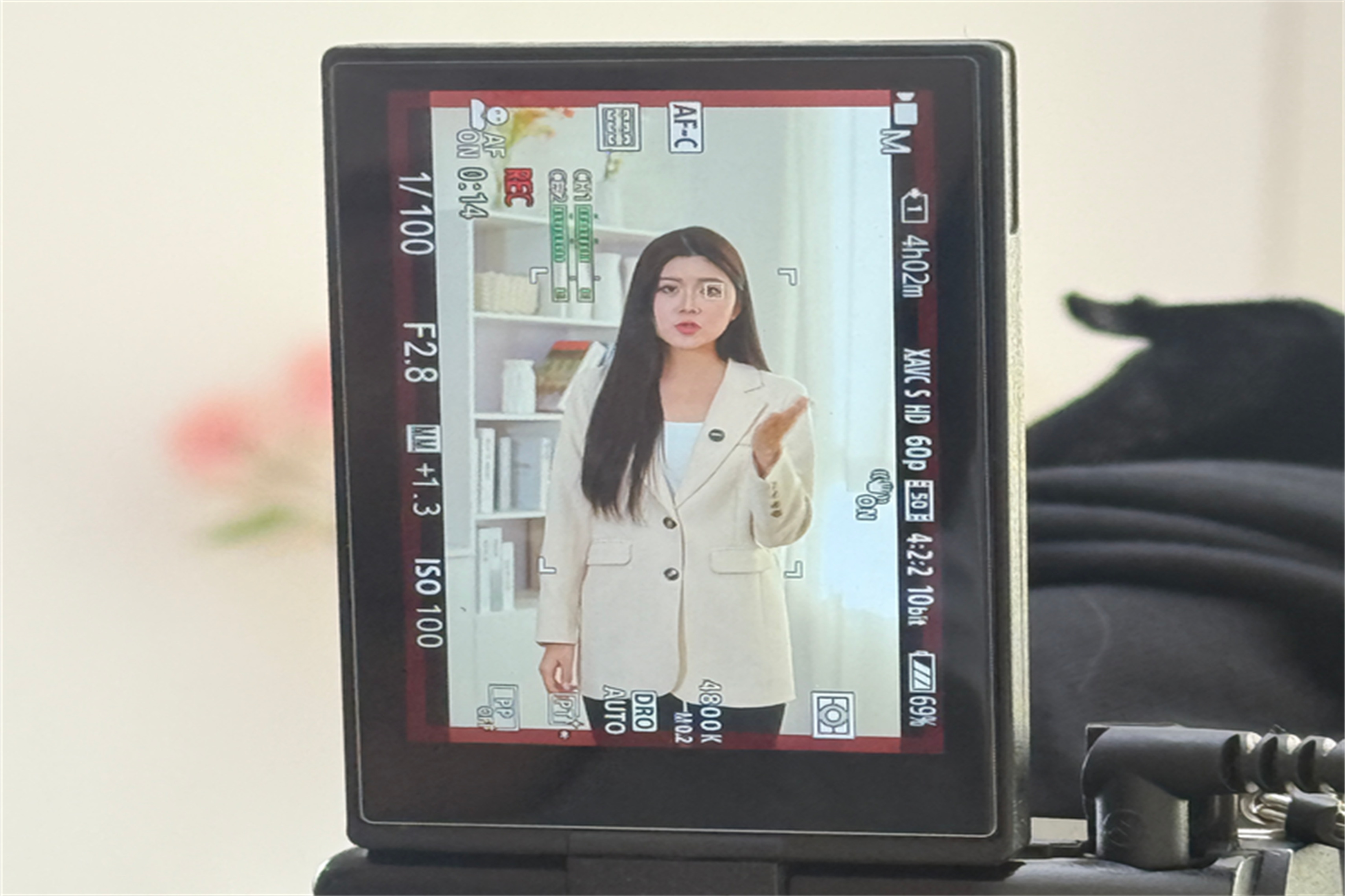 天興健文化體育發(fā)展有限公司帝比特加盟信息流拍攝交付完成